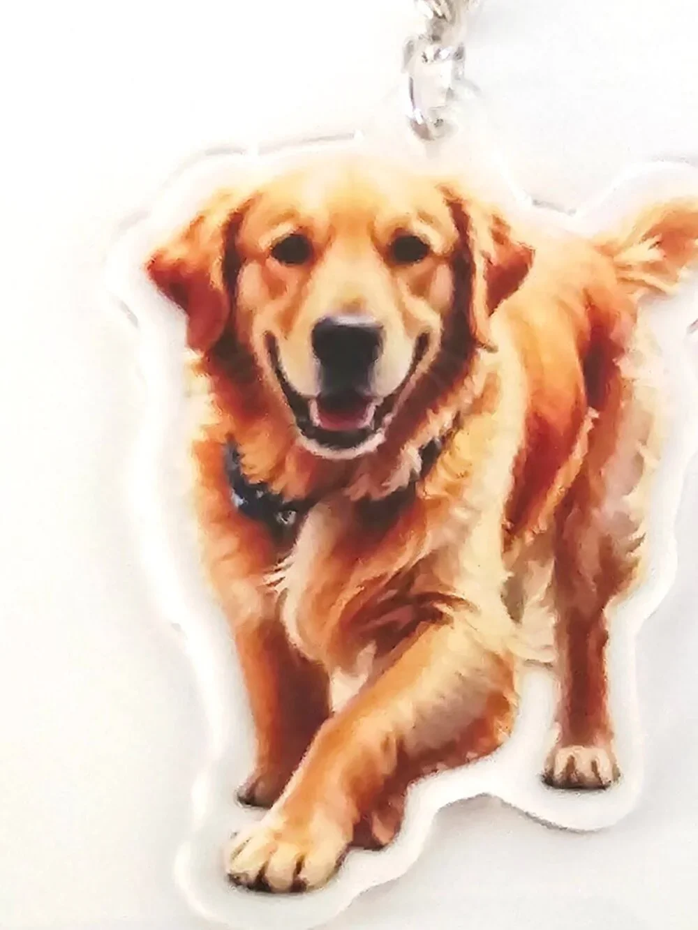 Golden Retriever Acrylic Keychain, Unisex, Dog Lover Pet Gift Double Sided Charm